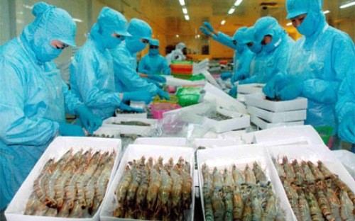 US anti-subsidy suit against Vietnamese frozen shrimp faltering - ảnh 1